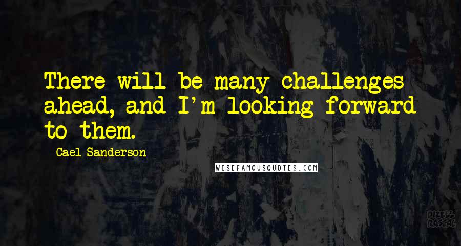 Cael Sanderson Quotes: There will be many challenges ahead, and I'm looking forward to them.