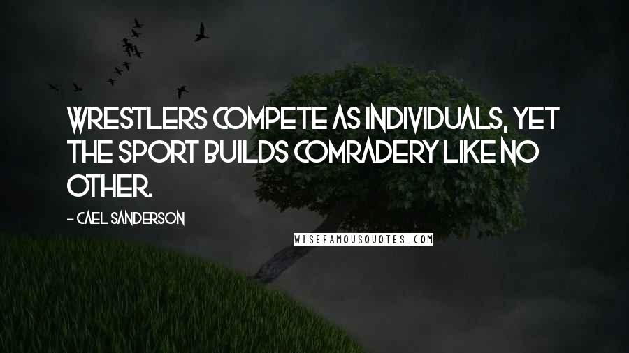 Cael Sanderson Quotes: Wrestlers Compete as Individuals, Yet the Sport Builds Comradery Like No Other.