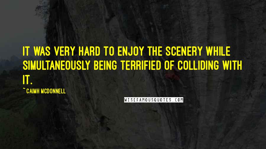 Caimh McDonnell Quotes: it was very hard to enjoy the scenery while simultaneously being terrified of colliding with it.