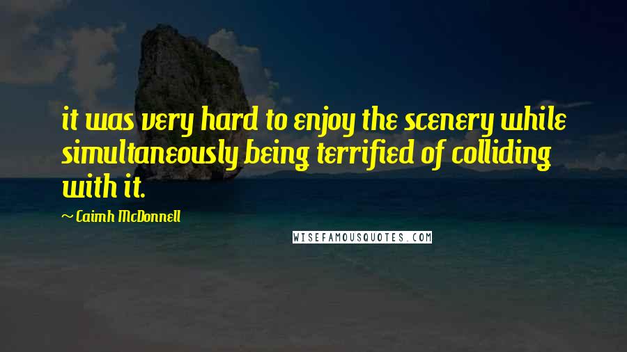 Caimh McDonnell Quotes: it was very hard to enjoy the scenery while simultaneously being terrified of colliding with it.
