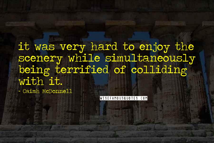 Caimh McDonnell Quotes: it was very hard to enjoy the scenery while simultaneously being terrified of colliding with it.