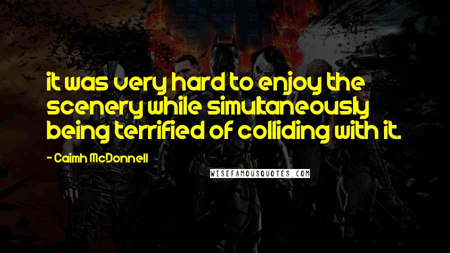 Caimh McDonnell Quotes: it was very hard to enjoy the scenery while simultaneously being terrified of colliding with it.