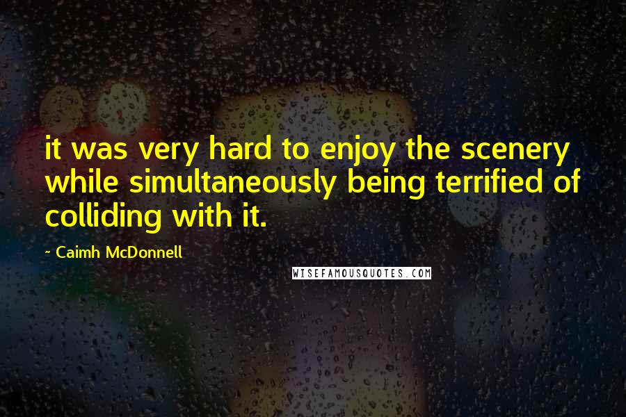 Caimh McDonnell Quotes: it was very hard to enjoy the scenery while simultaneously being terrified of colliding with it.