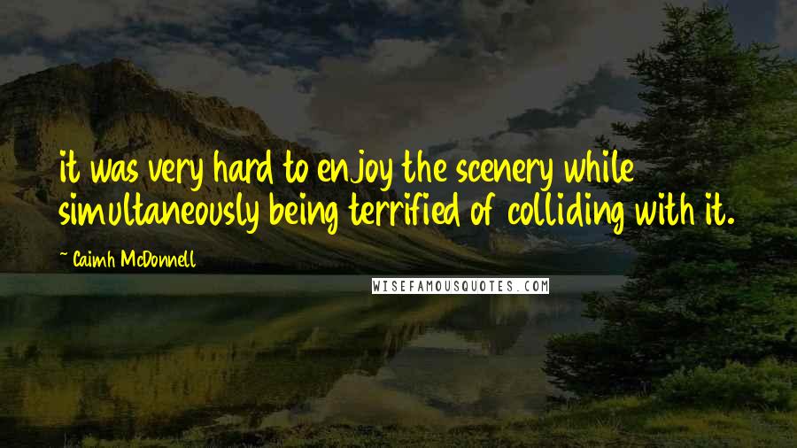 Caimh McDonnell Quotes: it was very hard to enjoy the scenery while simultaneously being terrified of colliding with it.