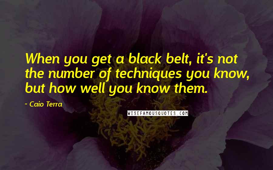 Caio Terra Quotes: When you get a black belt, it's not the number of techniques you know, but how well you know them.