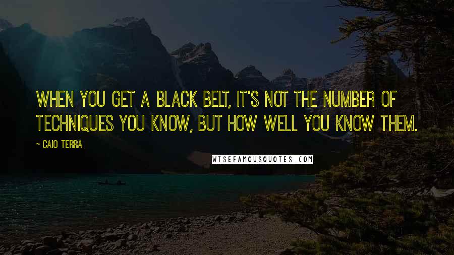 Caio Terra Quotes: When you get a black belt, it's not the number of techniques you know, but how well you know them.