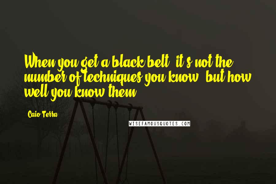 Caio Terra Quotes: When you get a black belt, it's not the number of techniques you know, but how well you know them.