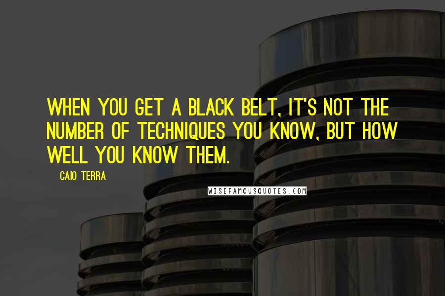 Caio Terra Quotes: When you get a black belt, it's not the number of techniques you know, but how well you know them.