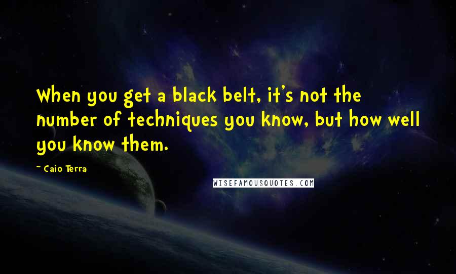 Caio Terra Quotes: When you get a black belt, it's not the number of techniques you know, but how well you know them.