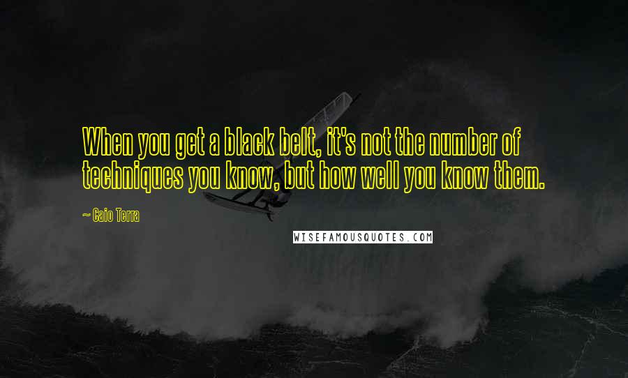 Caio Terra Quotes: When you get a black belt, it's not the number of techniques you know, but how well you know them.