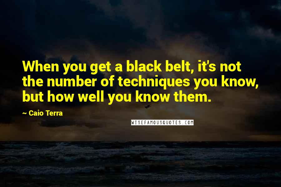 Caio Terra Quotes: When you get a black belt, it's not the number of techniques you know, but how well you know them.