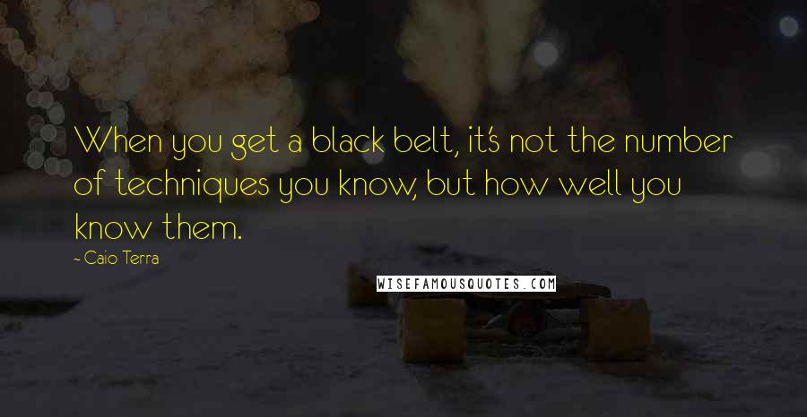 Caio Terra Quotes: When you get a black belt, it's not the number of techniques you know, but how well you know them.