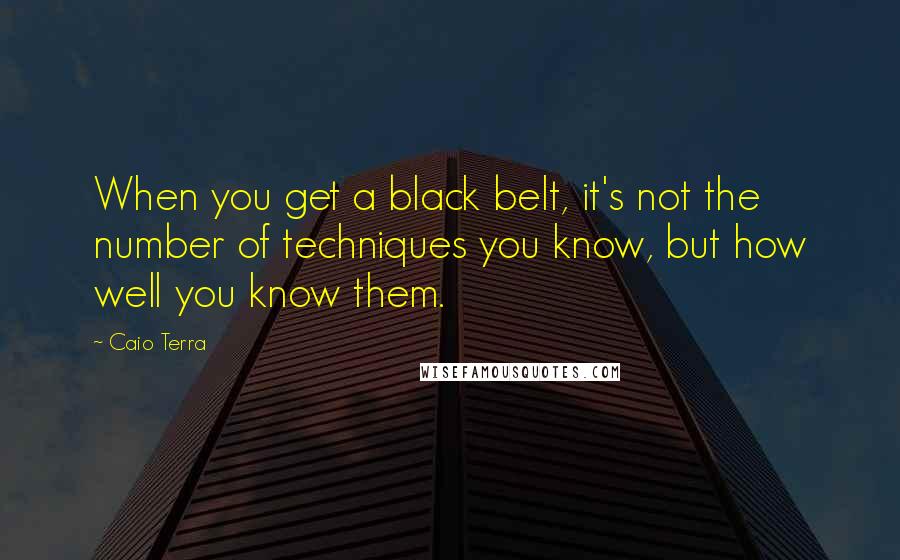 Caio Terra Quotes: When you get a black belt, it's not the number of techniques you know, but how well you know them.