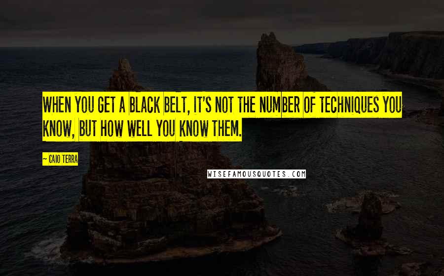Caio Terra Quotes: When you get a black belt, it's not the number of techniques you know, but how well you know them.