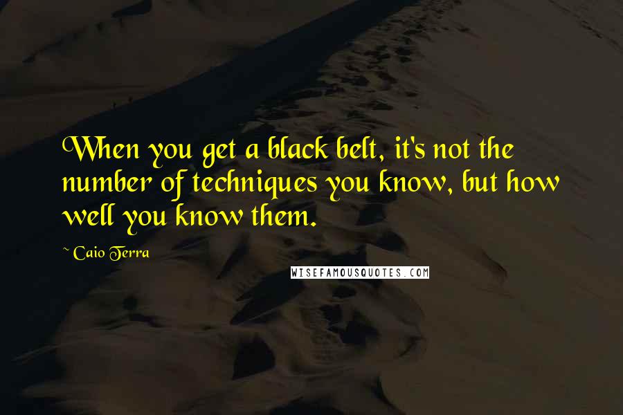 Caio Terra Quotes: When you get a black belt, it's not the number of techniques you know, but how well you know them.