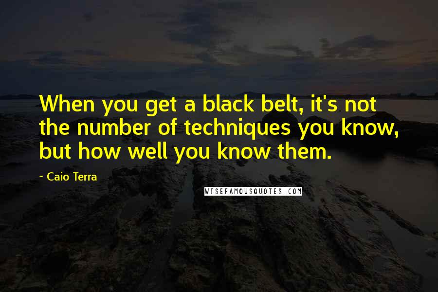 Caio Terra Quotes: When you get a black belt, it's not the number of techniques you know, but how well you know them.
