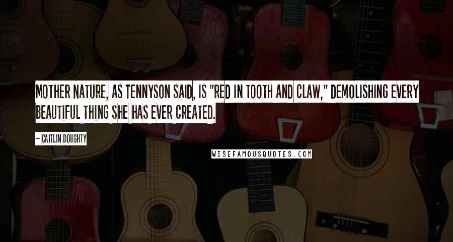 Caitlin Doughty Quotes: Mother Nature, as Tennyson said, is "red in tooth and claw," demolishing every beautiful thing she has ever created.