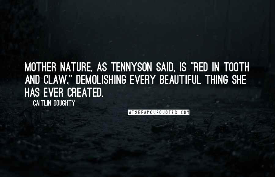 Caitlin Doughty Quotes: Mother Nature, as Tennyson said, is "red in tooth and claw," demolishing every beautiful thing she has ever created.