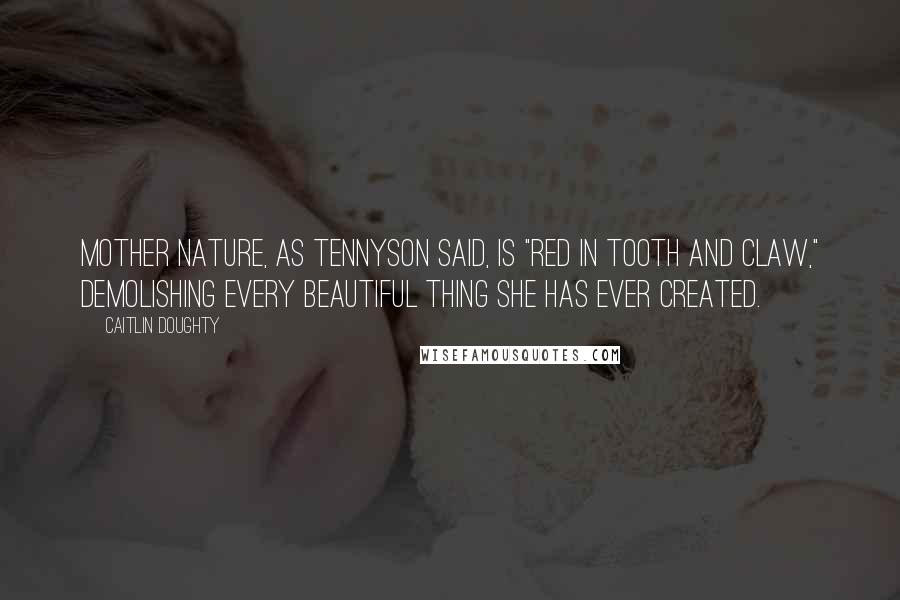 Caitlin Doughty Quotes: Mother Nature, as Tennyson said, is "red in tooth and claw," demolishing every beautiful thing she has ever created.