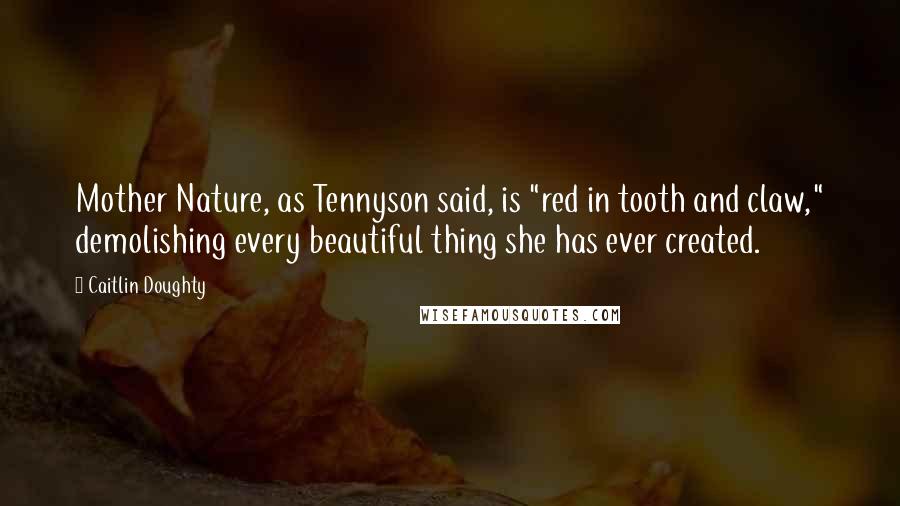 Caitlin Doughty Quotes: Mother Nature, as Tennyson said, is "red in tooth and claw," demolishing every beautiful thing she has ever created.