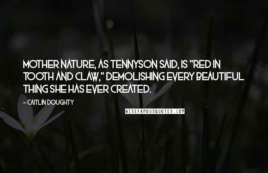 Caitlin Doughty Quotes: Mother Nature, as Tennyson said, is "red in tooth and claw," demolishing every beautiful thing she has ever created.