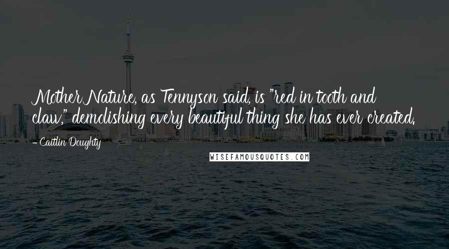 Caitlin Doughty Quotes: Mother Nature, as Tennyson said, is "red in tooth and claw," demolishing every beautiful thing she has ever created.