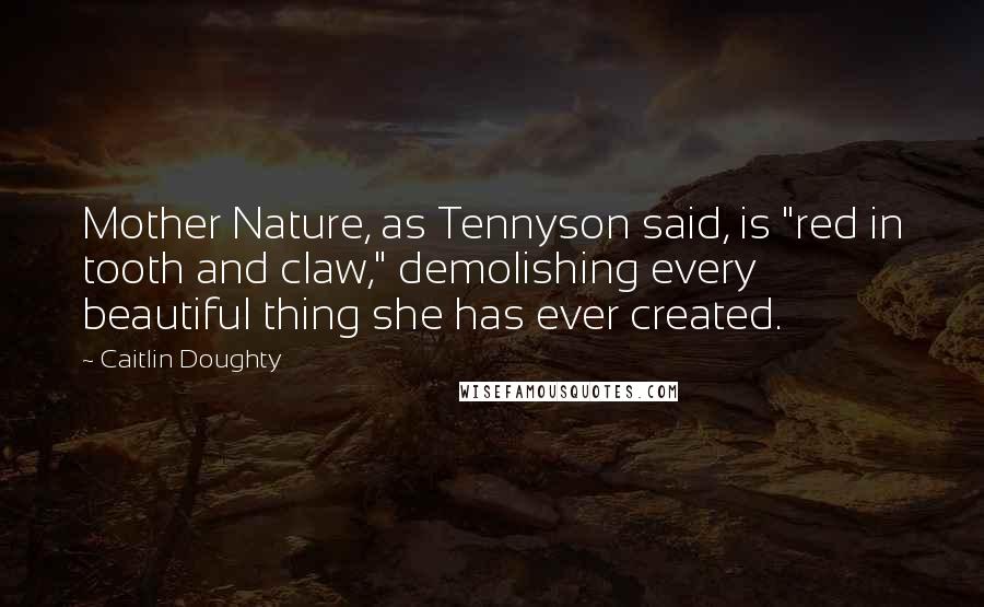 Caitlin Doughty Quotes: Mother Nature, as Tennyson said, is "red in tooth and claw," demolishing every beautiful thing she has ever created.