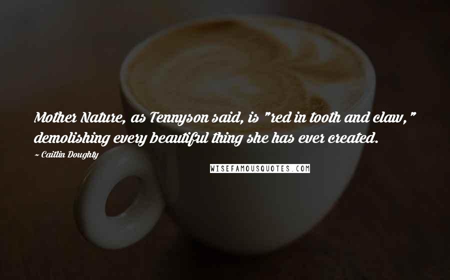 Caitlin Doughty Quotes: Mother Nature, as Tennyson said, is "red in tooth and claw," demolishing every beautiful thing she has ever created.