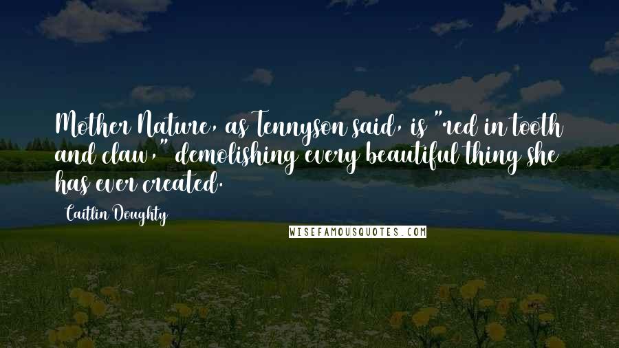 Caitlin Doughty Quotes: Mother Nature, as Tennyson said, is "red in tooth and claw," demolishing every beautiful thing she has ever created.