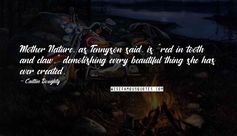 Caitlin Doughty Quotes: Mother Nature, as Tennyson said, is "red in tooth and claw," demolishing every beautiful thing she has ever created.