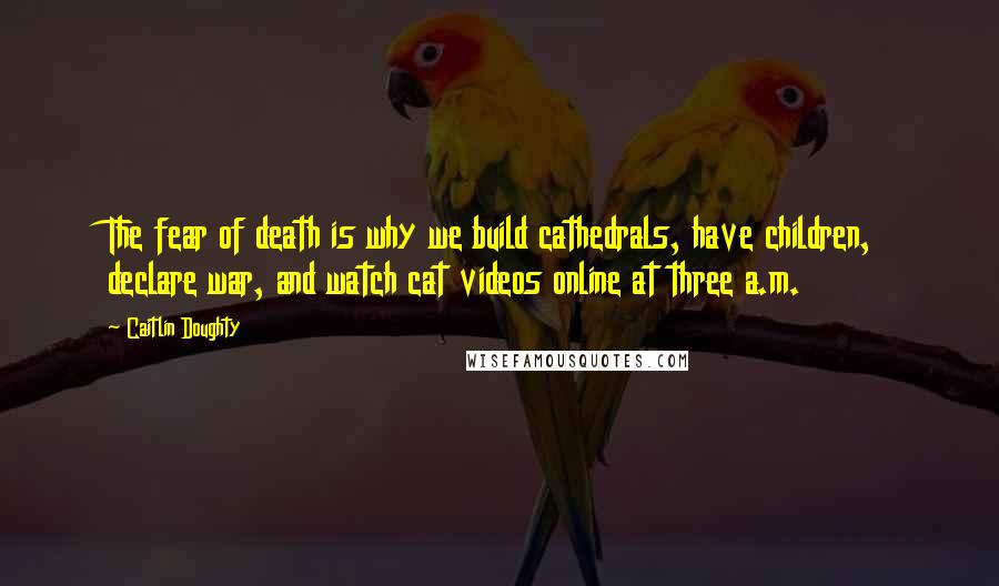 Caitlin Doughty Quotes: The fear of death is why we build cathedrals, have children, declare war, and watch cat videos online at three a.m.