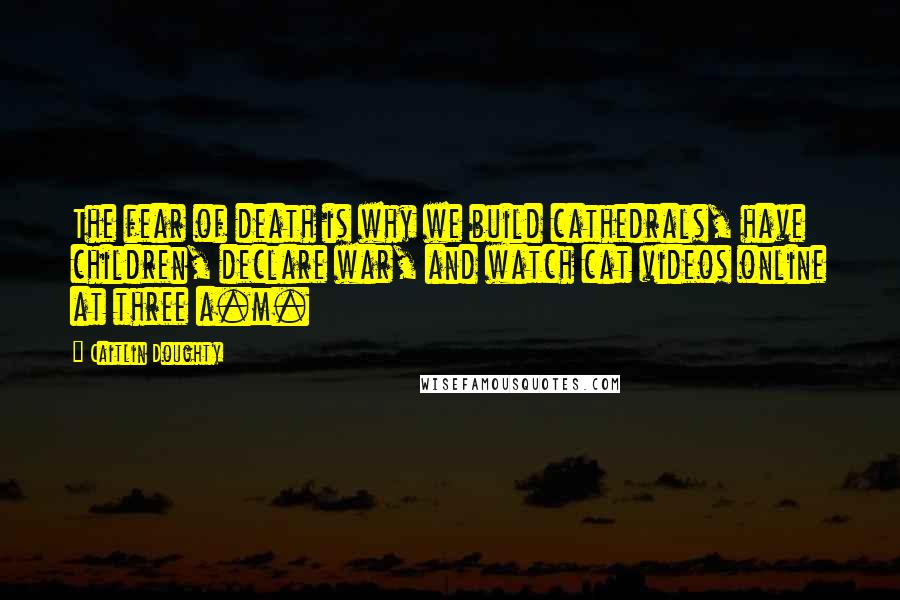 Caitlin Doughty Quotes: The fear of death is why we build cathedrals, have children, declare war, and watch cat videos online at three a.m.