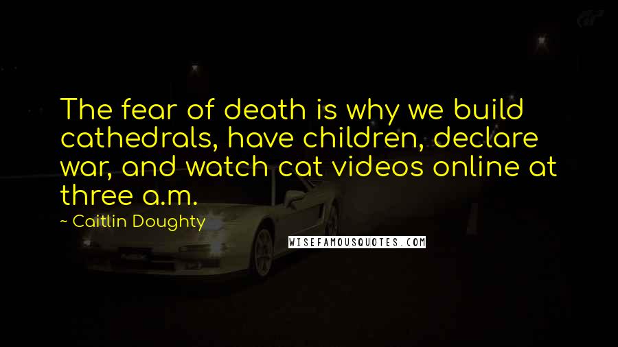 Caitlin Doughty Quotes: The fear of death is why we build cathedrals, have children, declare war, and watch cat videos online at three a.m.