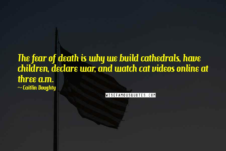 Caitlin Doughty Quotes: The fear of death is why we build cathedrals, have children, declare war, and watch cat videos online at three a.m.