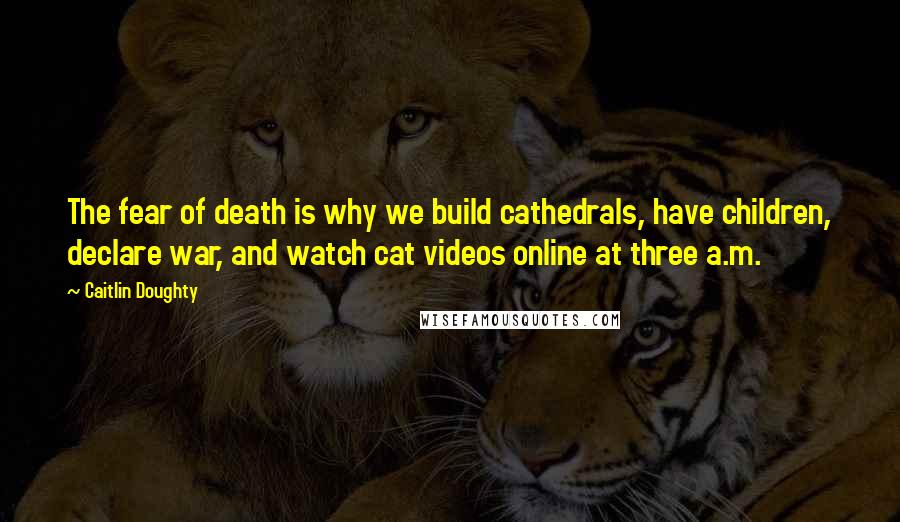 Caitlin Doughty Quotes: The fear of death is why we build cathedrals, have children, declare war, and watch cat videos online at three a.m.