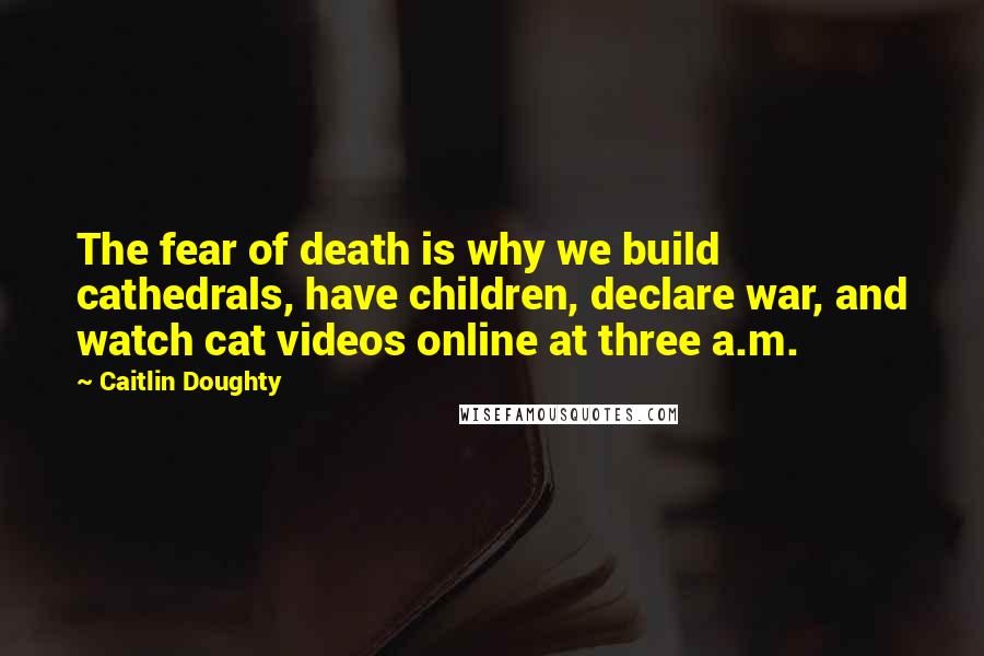 Caitlin Doughty Quotes: The fear of death is why we build cathedrals, have children, declare war, and watch cat videos online at three a.m.