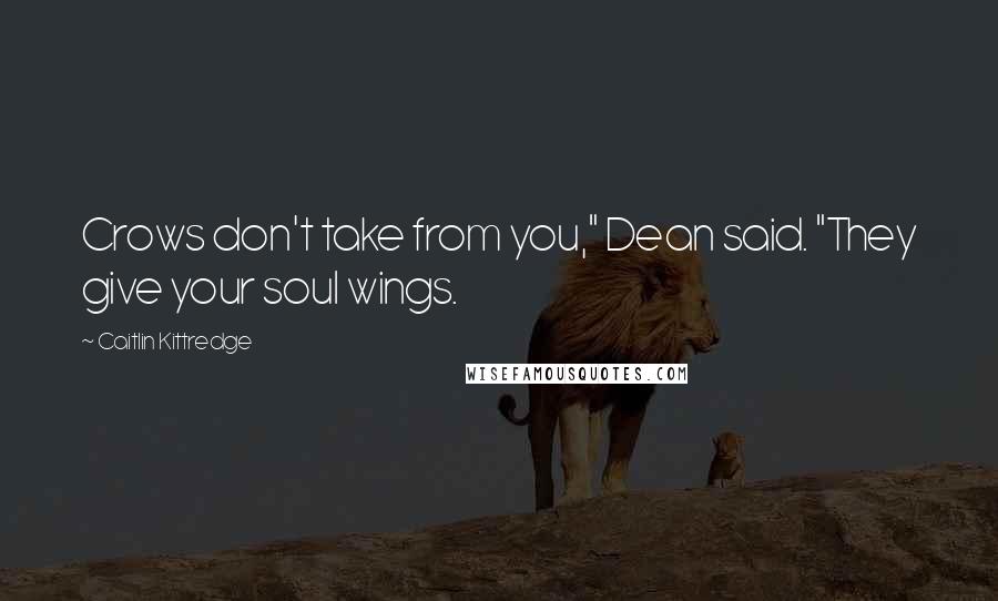 Caitlin Kittredge Quotes: Crows don't take from you," Dean said. "They give your soul wings.