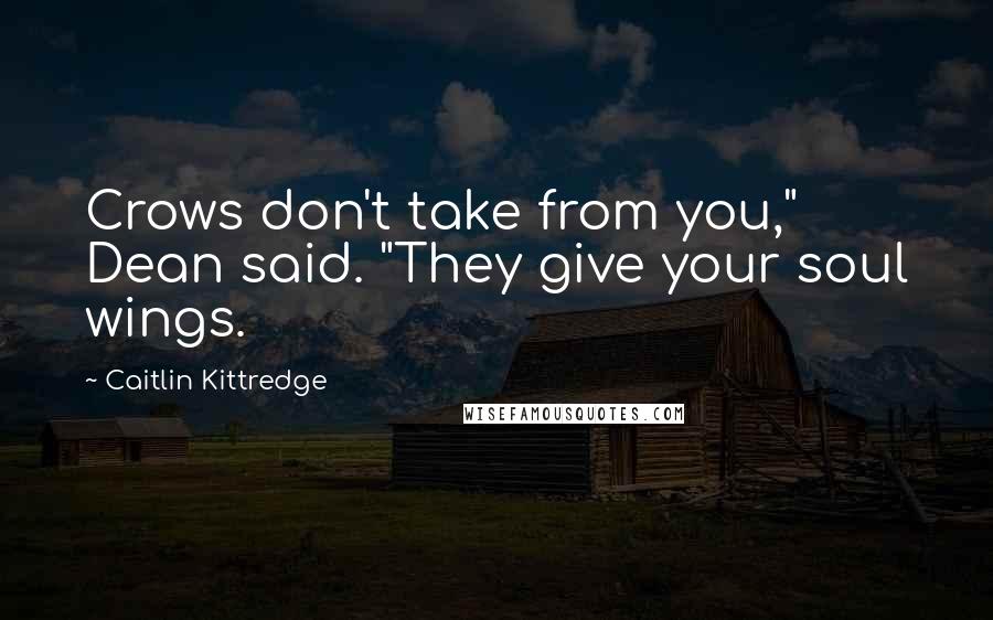 Caitlin Kittredge Quotes: Crows don't take from you," Dean said. "They give your soul wings.