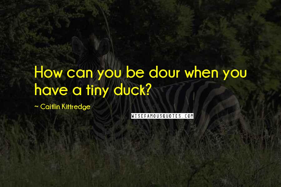 Caitlin Kittredge Quotes: How can you be dour when you have a tiny duck?