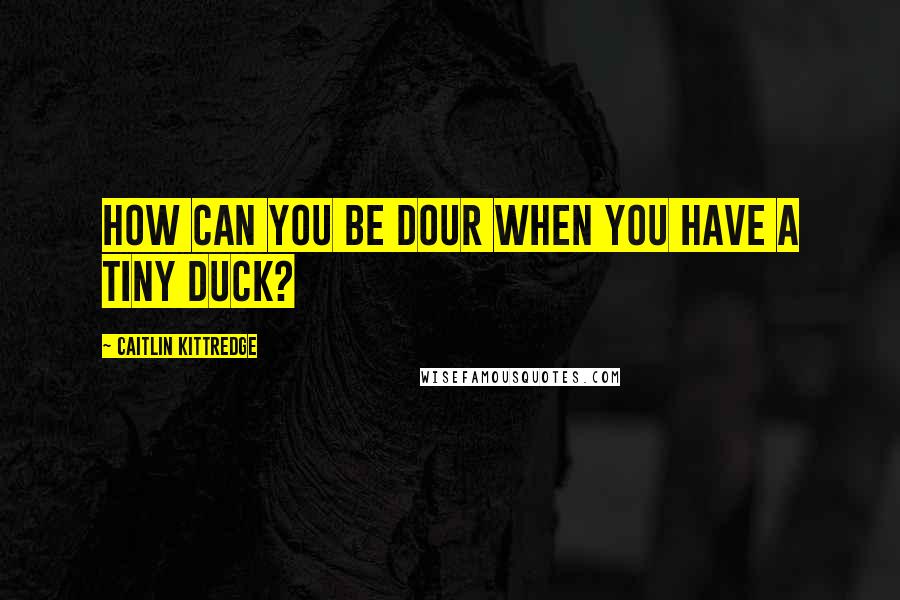 Caitlin Kittredge Quotes: How can you be dour when you have a tiny duck?