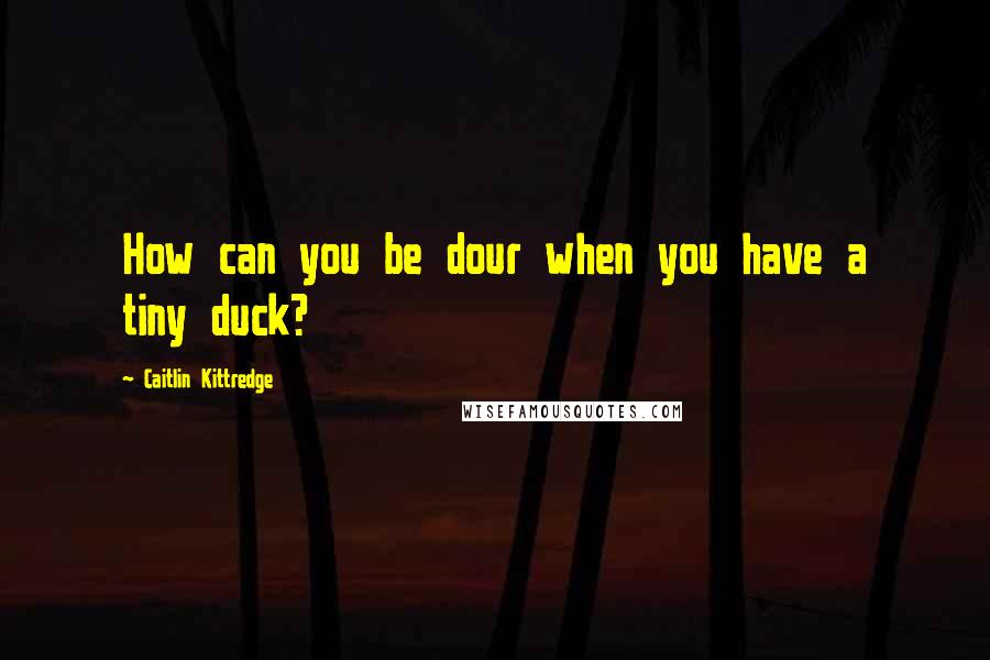 Caitlin Kittredge Quotes: How can you be dour when you have a tiny duck?