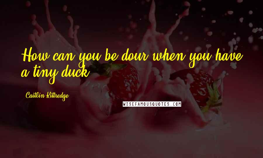 Caitlin Kittredge Quotes: How can you be dour when you have a tiny duck?