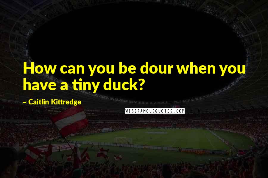 Caitlin Kittredge Quotes: How can you be dour when you have a tiny duck?