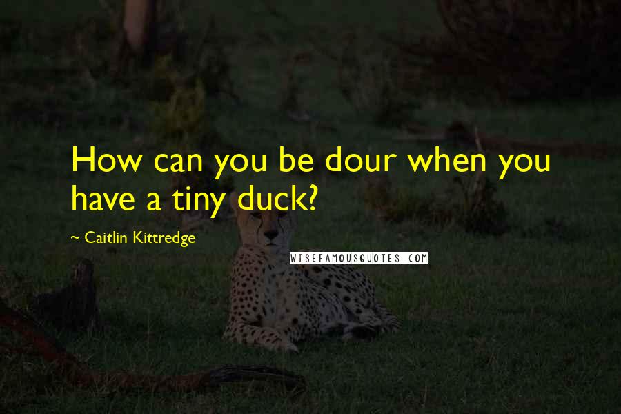 Caitlin Kittredge Quotes: How can you be dour when you have a tiny duck?