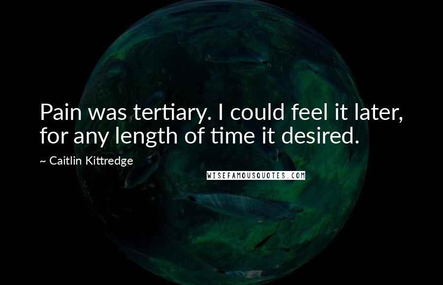 Caitlin Kittredge Quotes: Pain was tertiary. I could feel it later, for any length of time it desired.