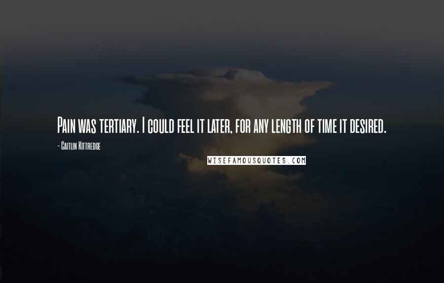 Caitlin Kittredge Quotes: Pain was tertiary. I could feel it later, for any length of time it desired.