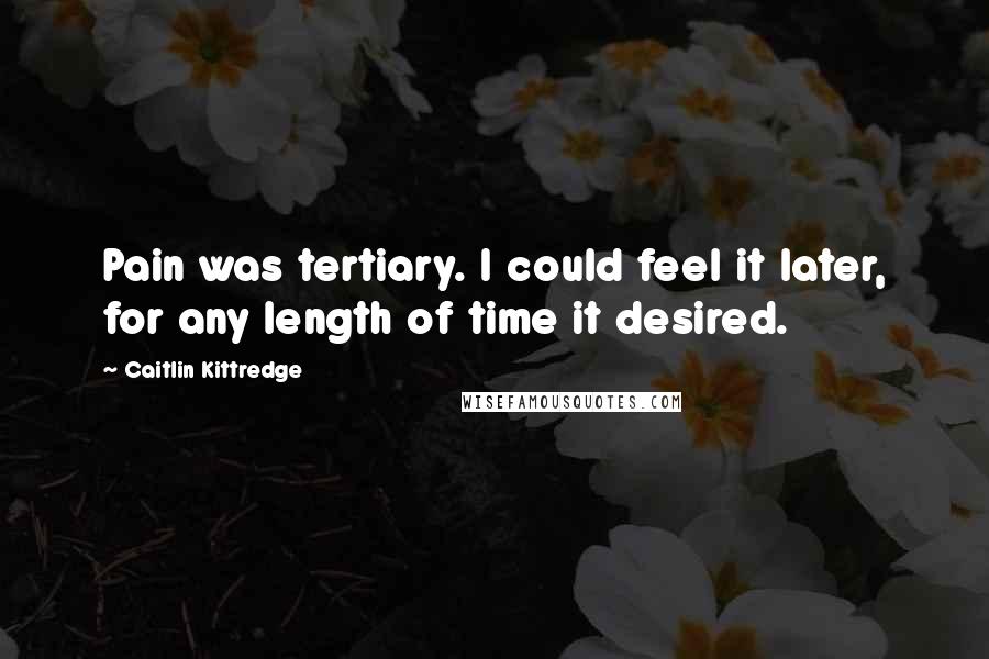 Caitlin Kittredge Quotes: Pain was tertiary. I could feel it later, for any length of time it desired.