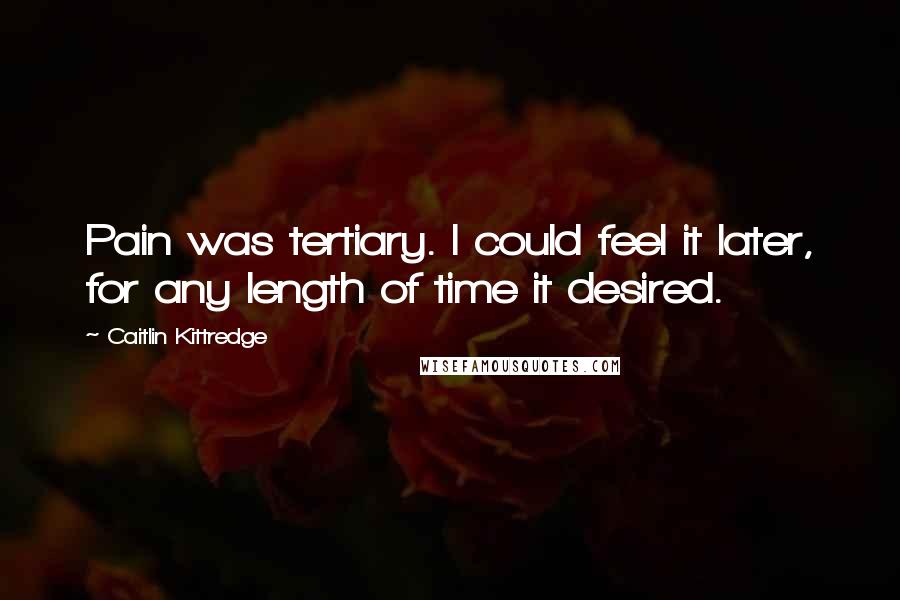 Caitlin Kittredge Quotes: Pain was tertiary. I could feel it later, for any length of time it desired.