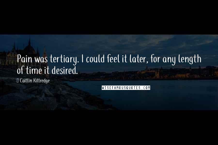 Caitlin Kittredge Quotes: Pain was tertiary. I could feel it later, for any length of time it desired.