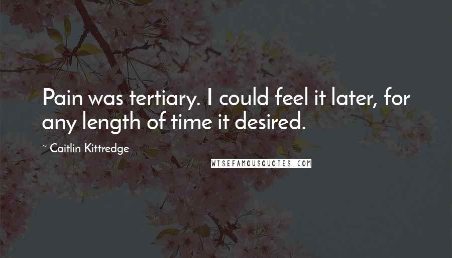 Caitlin Kittredge Quotes: Pain was tertiary. I could feel it later, for any length of time it desired.
